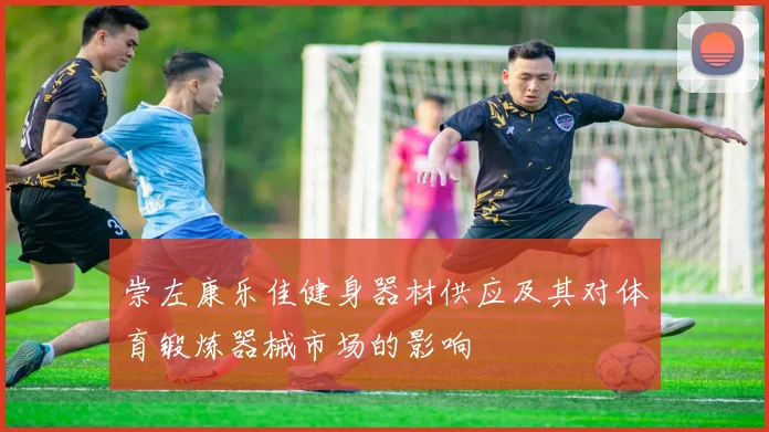 崇左康乐佳健身器材供应及其对体育锻炼器械市场的影响