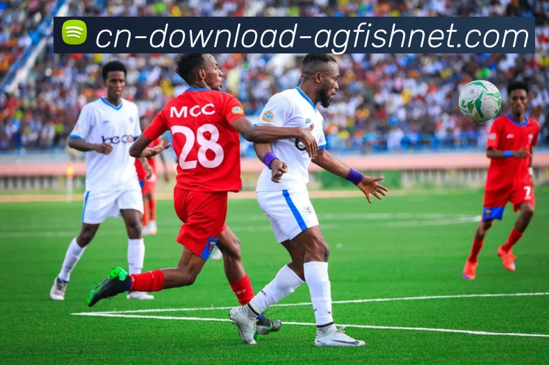 AG捕鱼王官网平台生态图